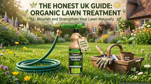 Organic Lawn Treatment: The Honest UK Guide