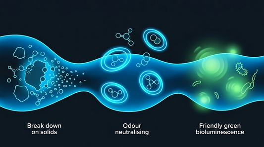 How Toilet Fluid Actually Breaks Down Waste: The Science Explained