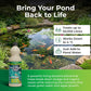 Pond Water Treatment & Algae Clear Year-Round Natural Bacteria Formula, Clears Green Water, Algae & Sludge.