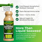 Liquid Seaweed Fertiliser 1L with Hose Attachment - Plant Food & Lawn Feed - Organic cold-pressed Ascophyllum with amino, fulvic & humic acids.