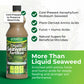 Seaweed Fertiliser for Plants – Organic Liquid Feed for Indoor & Outdoor Use – Cold Pressed with Humic, Amino & Fulvic Acids