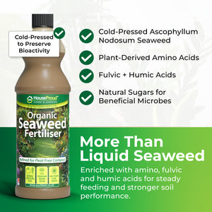 Seaweed Fertiliser for Plants – Organic Liquid Feed for Indoor & Outdoor Use – Cold Pressed with Humic, Amino & Fulvic Acids