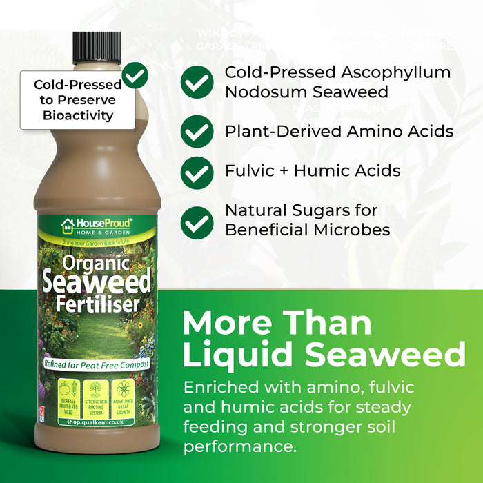 Seaweed Fertiliser for Plants – Organic Liquid Feed for Indoor & Outdoor Use – Cold Pressed with Humic, Amino & Fulvic Acids